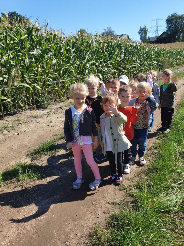 Świeci słońce. Dzieci idą w parach po drodze gruntowej obok pola kukurydzy.