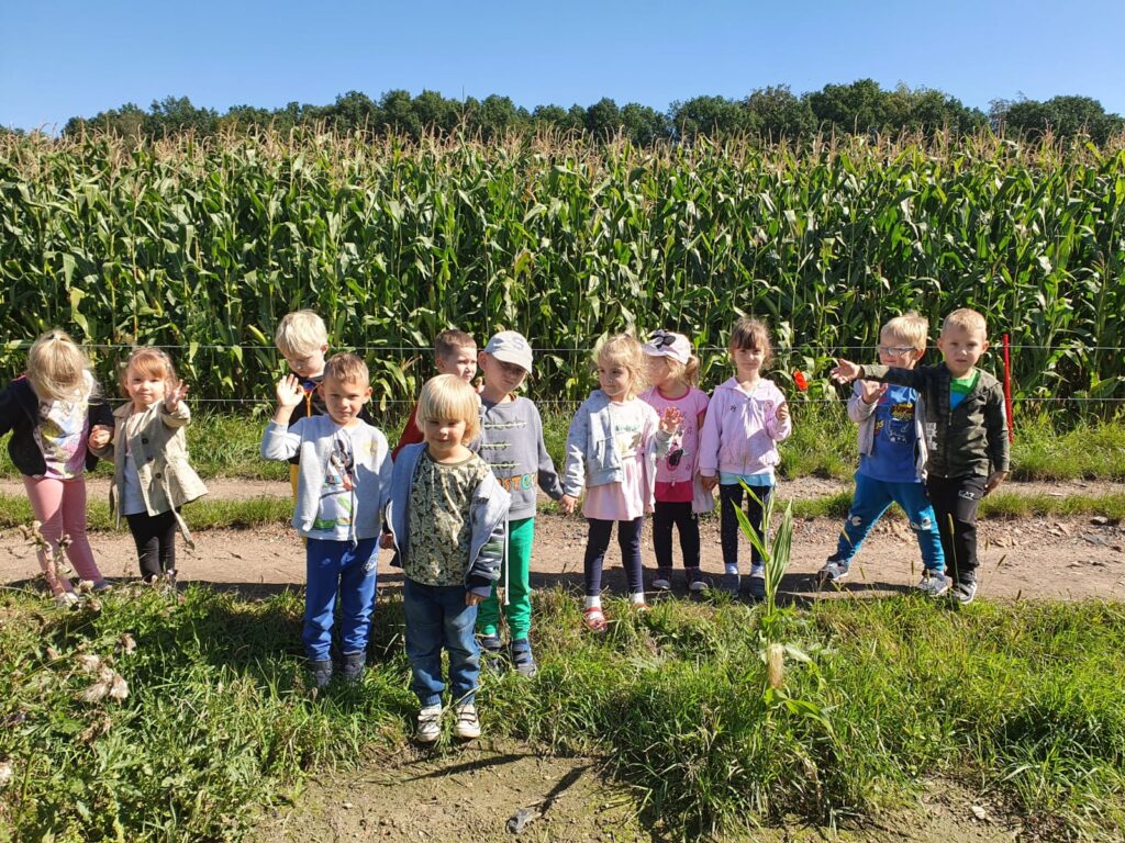 Świeci słońce. Dzieci stoją przed polem kukurydzy.